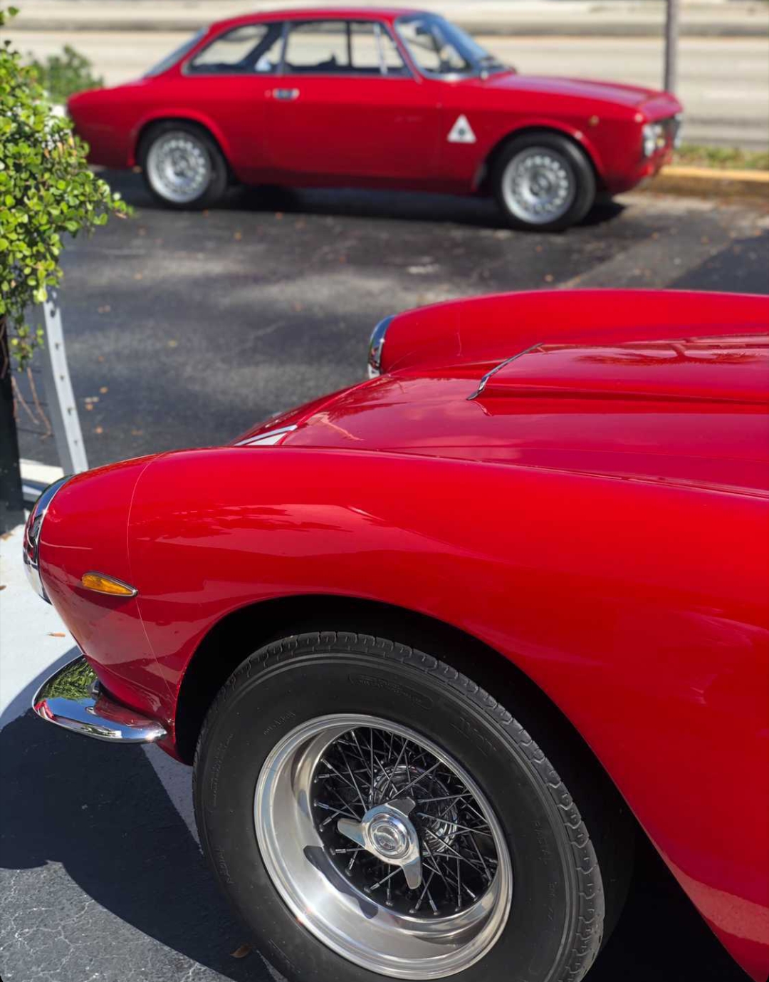 Alfa_miami Cars & Coffee Miami: Alfa Romeo