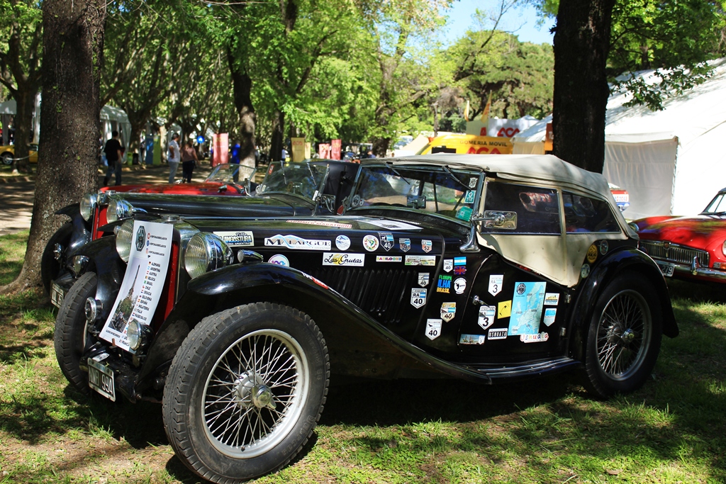 mg