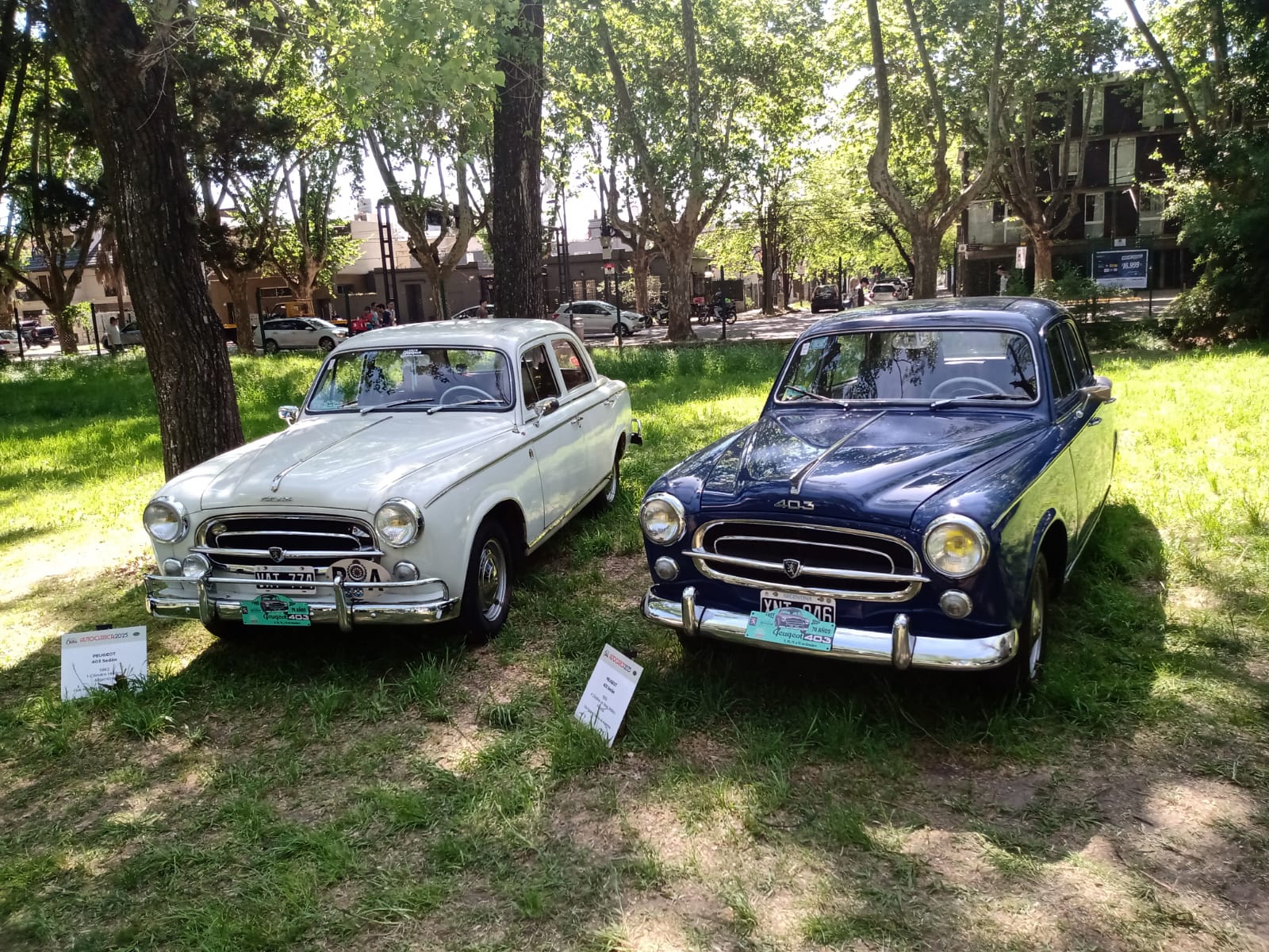 Peugeot403 Autoclasica Argentina 2025