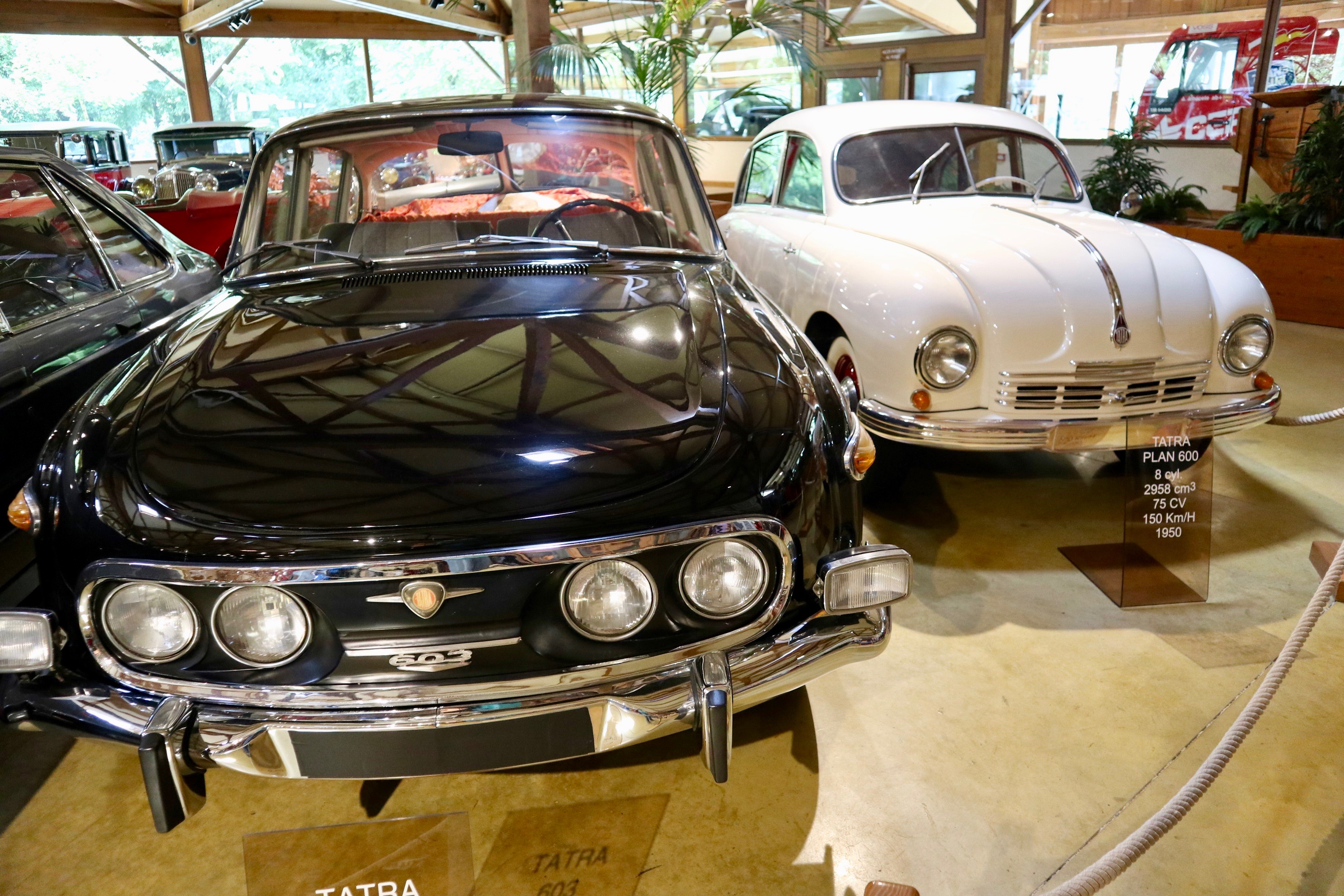 IMG_9012 Visita: Colección Manoir de l'Automobile Loheac