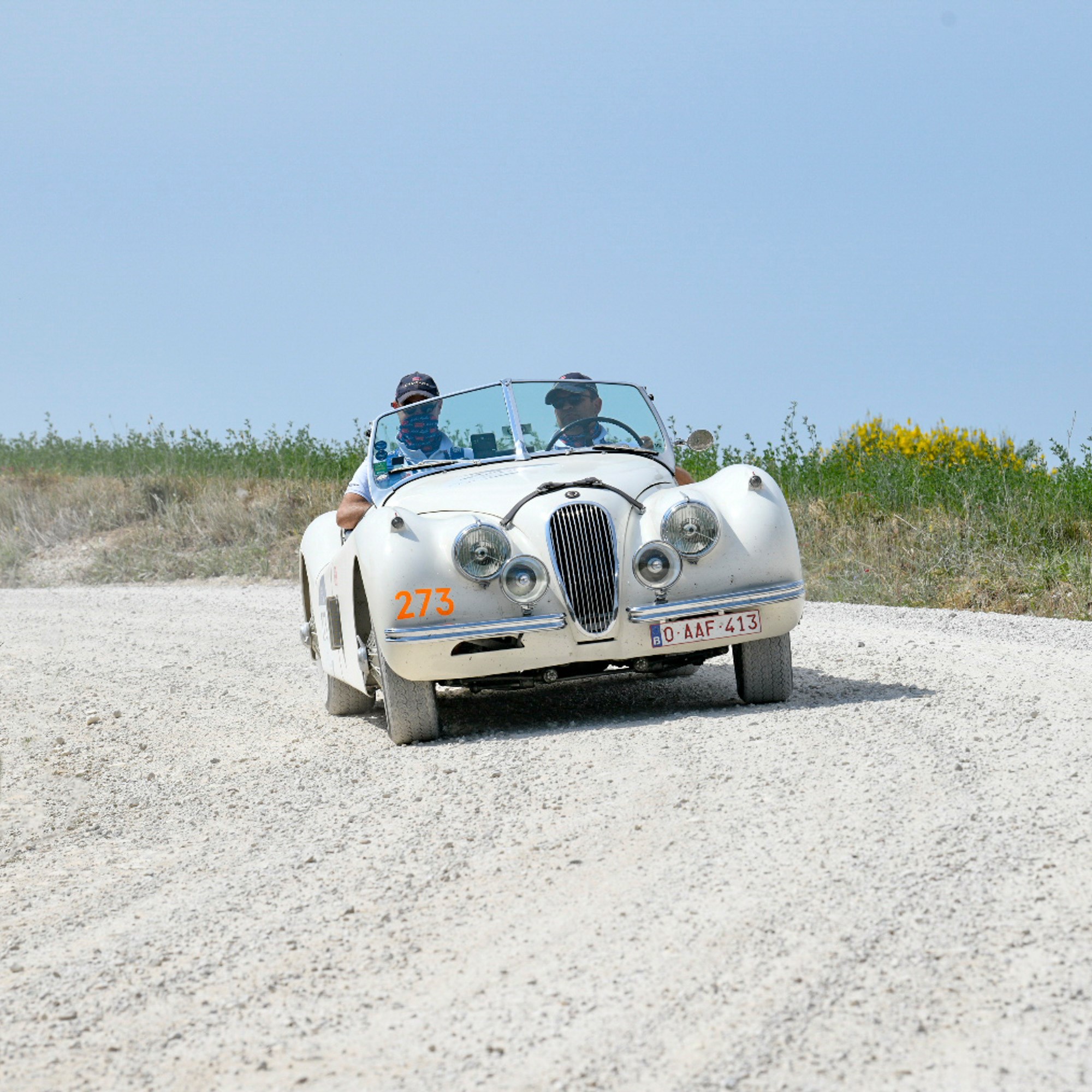 mille_miglia Mille Miglia 2021: Alfa Romeo lo vuelve a hacer