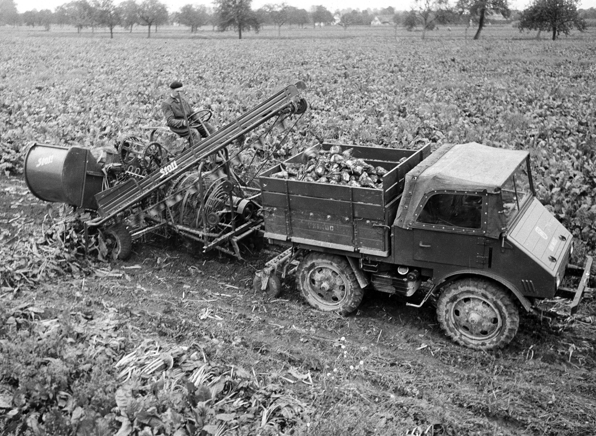 mercedes-benz-unimog Mercedes Benz Unimog: 70 aniversario