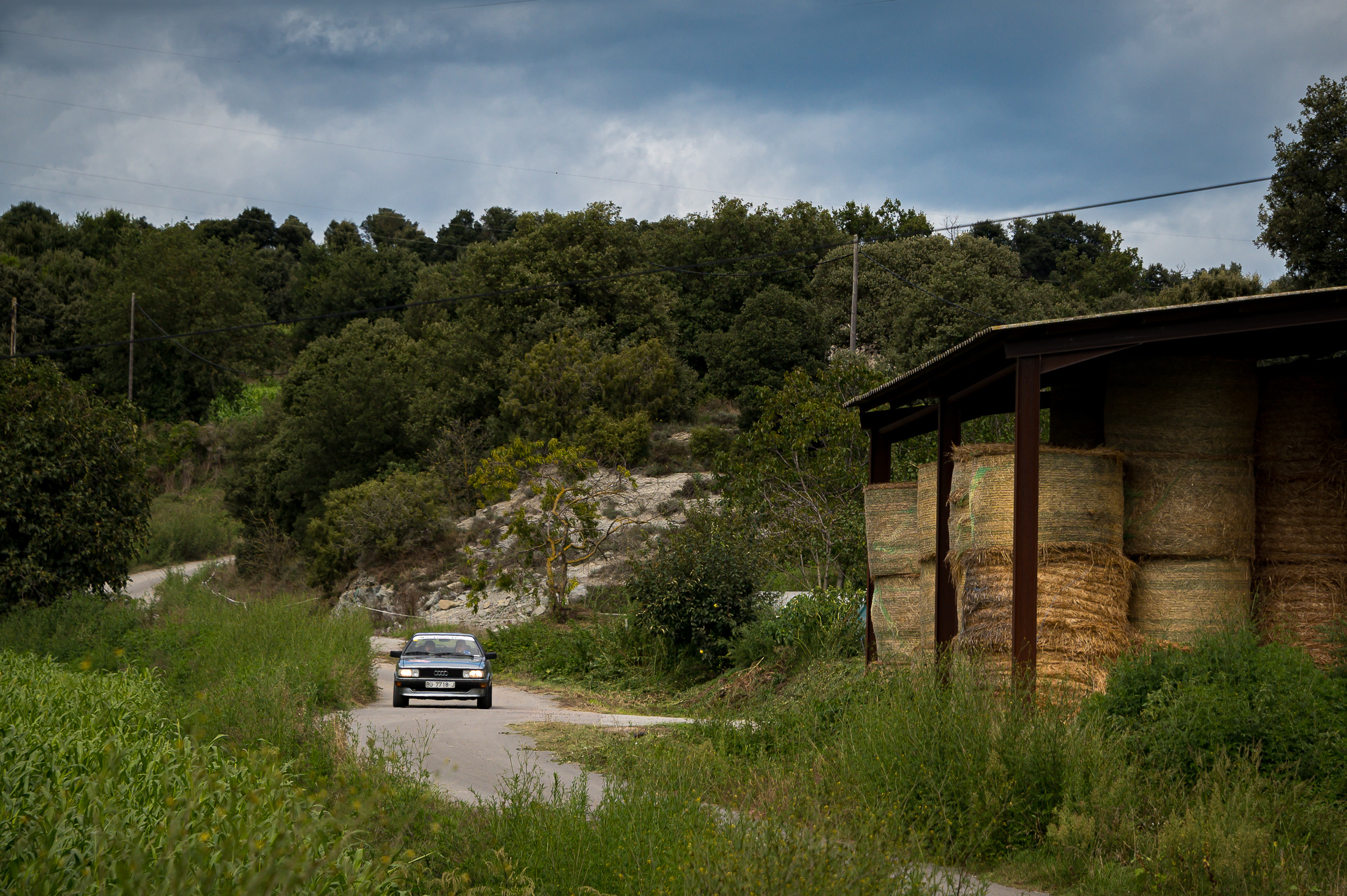 rally_volcans2020 XVI Clàssic dels Volcans