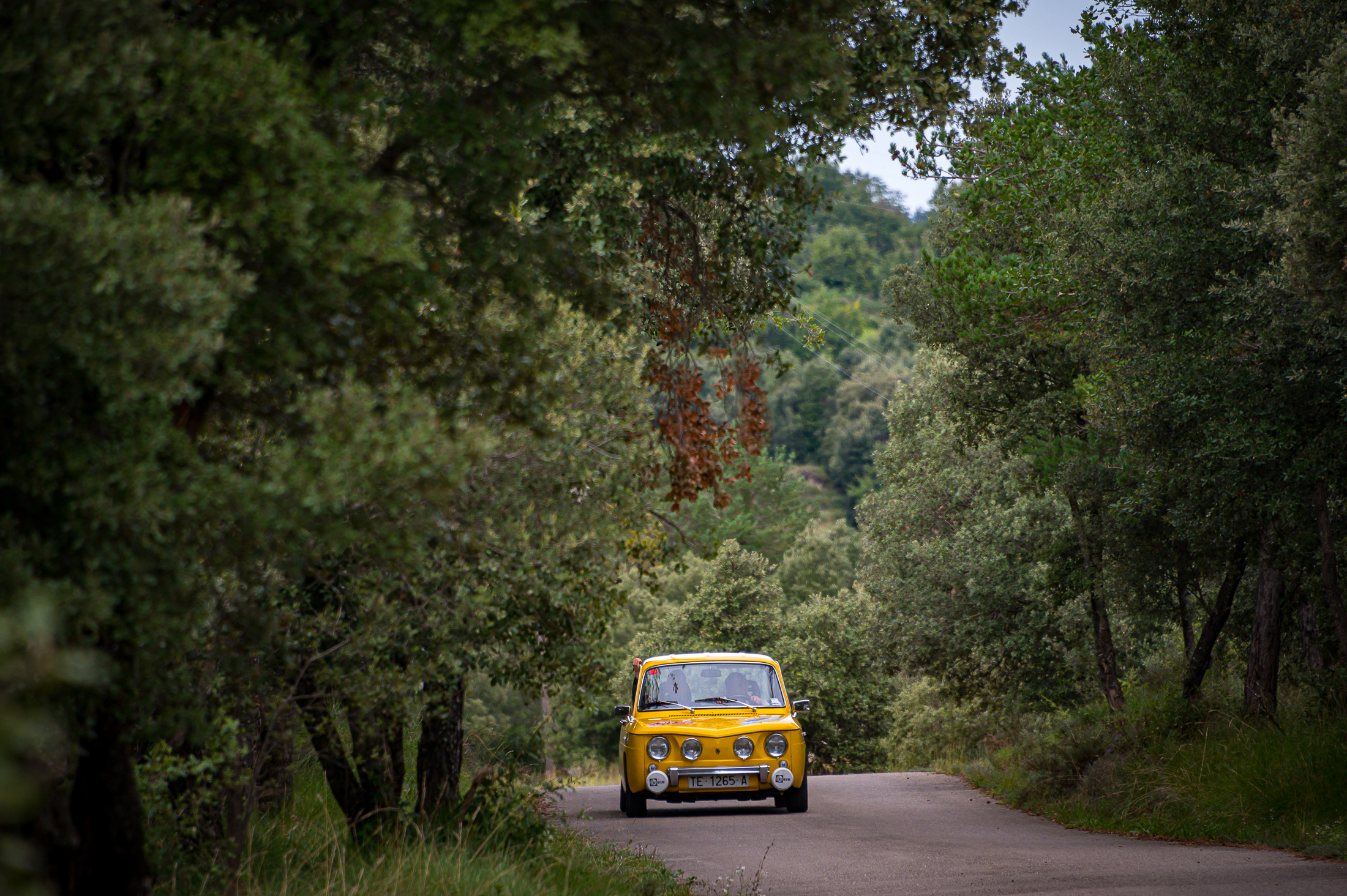 rallydelsvolcans XVI Clàssic dels Volcans