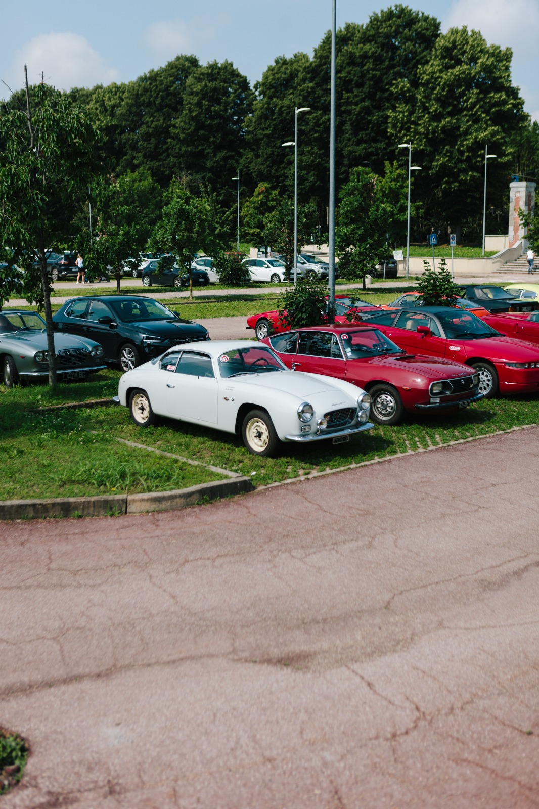 51_radunozagato alfa romeo